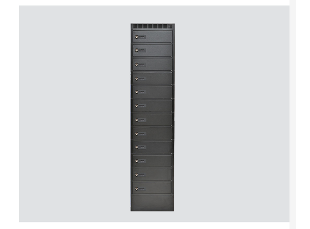 Leba NoteLocker 12 Manual codelock | H1745xW400xD450 