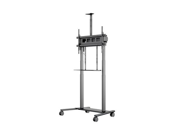 Multibrackets Tralle motor floorstand XL Svart, 1000x600, 150kg, 42-100" 