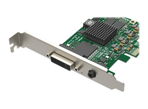 Magewell Pro capture DVI LP PCIe x1, 1-CH HDMI DVI VGA YPbP 