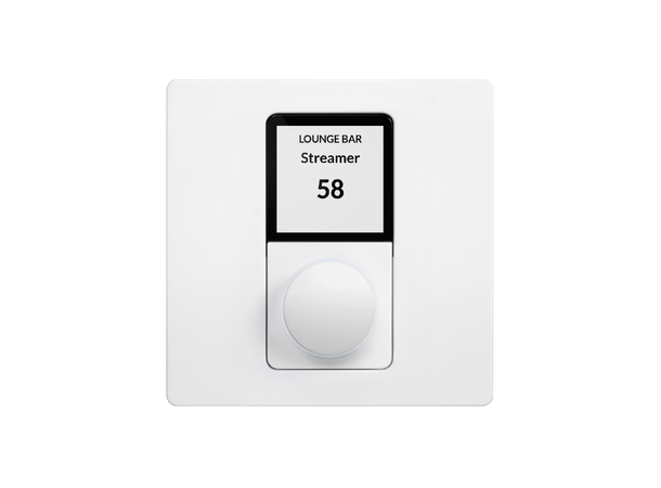 Blaze Audio Veggpanel Wall-S1 White Volum kildevalg for PZ Connect 