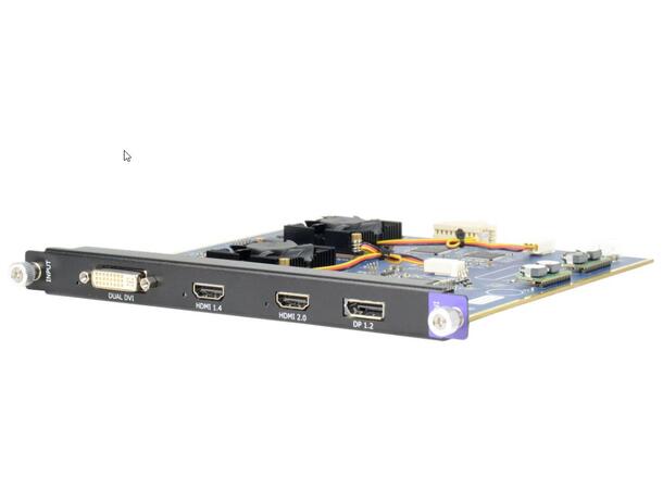RGBlink 4K@60 Digital Input Module 2 X HDMI | DVI-DL | Displayport