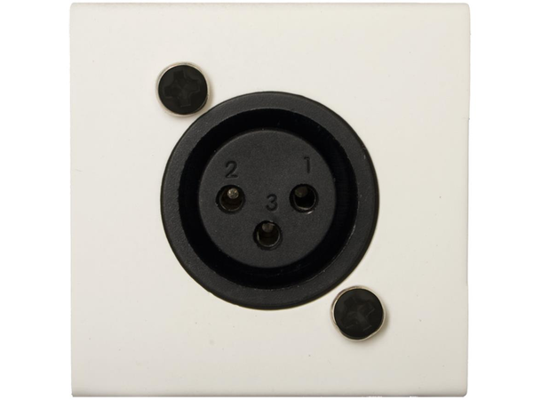 Audac Tilkoblingspanel WMI18/W  Hvit For mikrofon, 18V fantommating mulig 