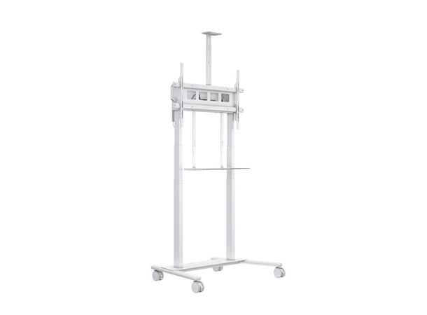 Multibrackets Tralle motor floorstand XL Hvit, 1000x600, 150kg, 42-100" 