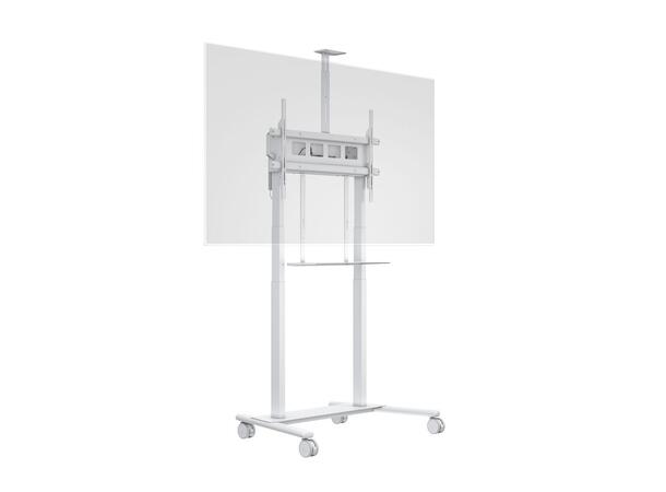 Multibrackets Tralle motor floorstand XL Hvit, 1000x600, 150kg, 42-100" 
