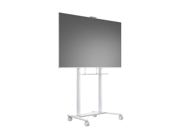 Multibrackets Tralle motor floorstand XL Hvit, 1000x600, 150kg, 42-100" 