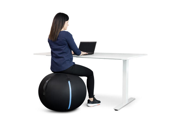 KENSON GetUpBall 65 Svart | 120kg 