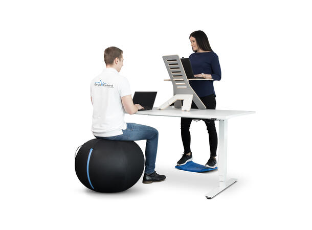 KENSON GetUpBall 65 Svart | 120kg 