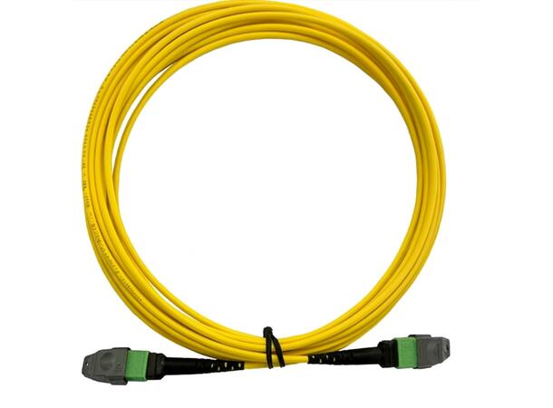 LinkIT MTP/MPO-B OS2 12c 100m USConec MTP, Steel armor , LSZH 