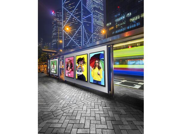 Peerless 55" XtremeTM High Bright Outdoor Display, IP66, 2500 nits 