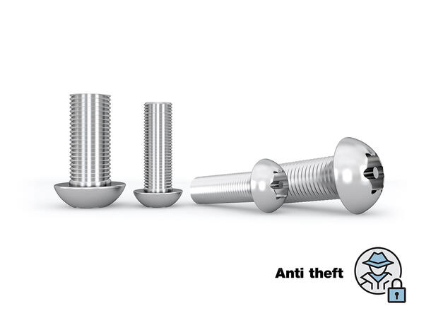Multibrackets Pro Series - Safety Anti T heft Screws M5 M6 