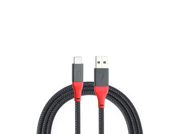 apias Security Cable USB to USB-C 2m