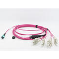 LinkIT MTP/MPO-B OM4 8c 2m USConec MTP Elite female - 8xSC , LSZH