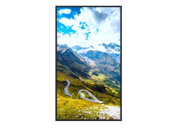 Hisense 49" FHD 1080P High Brightness 4500nits, 24/7, Android 9.0 D-LED 