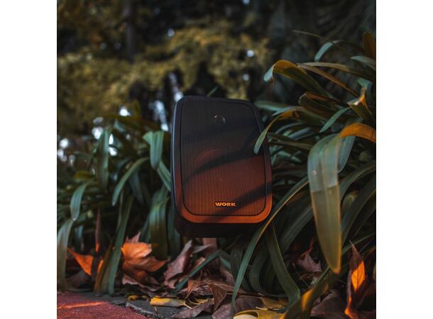 Work Høyttalere NEO 5 IP Par Sort Passiv 2 veis 5,25+0,5" 16W@100V IP65 