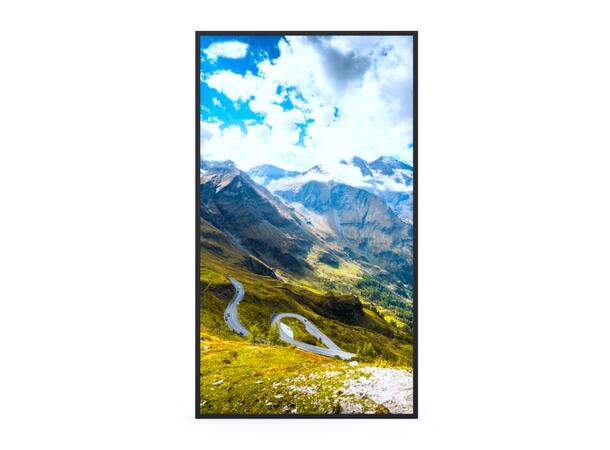 Hisense 55" FHD 1080P High Brightness 2500nits, 24/7, Android 9.0 D-LED 