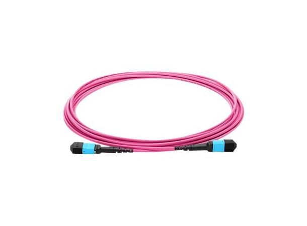 LinkIT MTP/MPO-B OM4 12c 2,5m USConec MTP Female-Female | LSZH 
