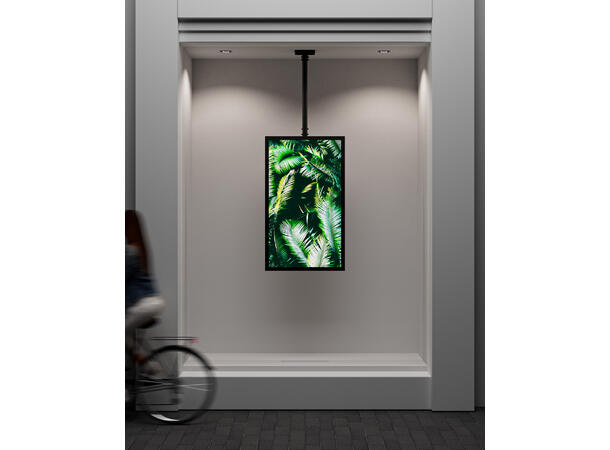 Multibrackets Pro kabinett tak 55" Svart, 600x400, 80Kg 