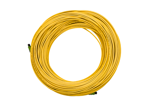 LinkIT MPO-A OS2 12c 5m MPO Female - Female | LSZH 