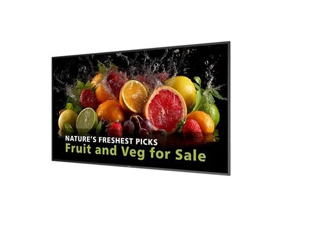 Philips D-Line 65” HD, 24/7, 600 nits 65BDL5050D/00 , Failover , Android 14 