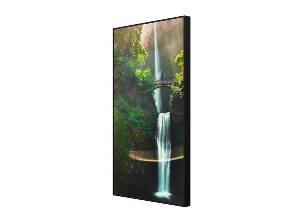 Hisense 55" FHD 4K High Brightness 4000nits, 24/7, Android 11.0 