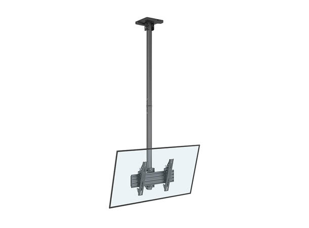Multibrackets Ceiling Mount Pro MBC1U, V ESA 300* 