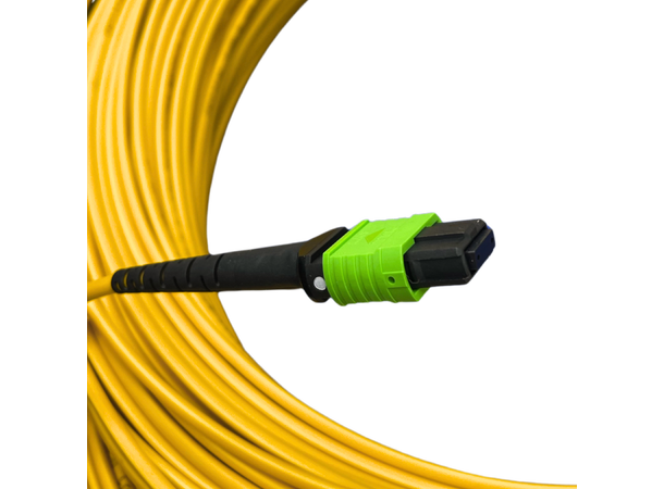 LinkIT MPO-A OS2 12c 200m MPO Female - Female | LSZH 